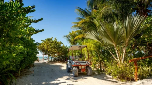 Best Isla Holbox All-Inclusive Resorts